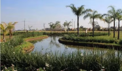 Terreno Condomínio em Mirassol
