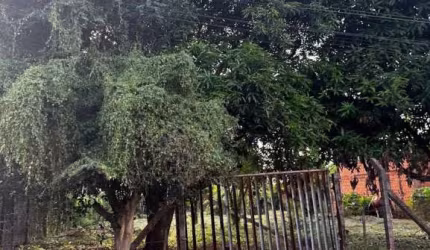 Terreno Condomínio em São José do Rio Preto