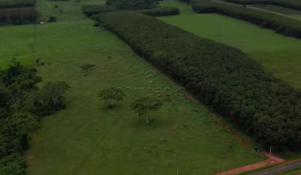 Terreno Área em Cosmorama