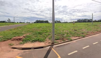 Terreno Padrão em São José do Rio Preto