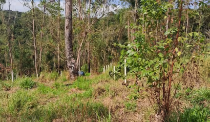 Terreno de 1000 metros Parque Florestal
