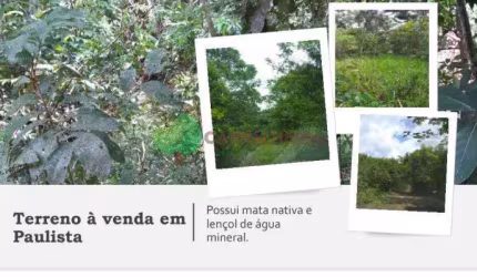 Chácara / sítio à venda na Estrada do Barro Branco / estrada do Pica Pau Amar, KM7, Guabiraba, Recife por R$ 2.500.000