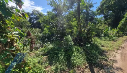 Ubatuba, Itamambuca - lote com 540,00 m2, escritura definitiva, liberação ambiental em condomínio segurança 24 hs.