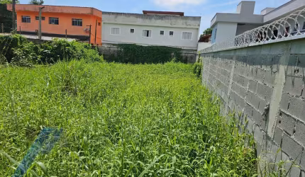 Ubatuba, Jardim Carolina - Terreno com 450 m2, aterrado e murado.