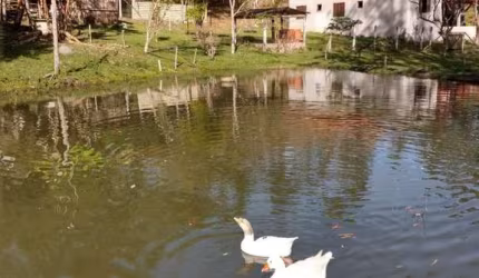 Ubatuba- Horto Florestal - Sitio com excelente localização, com terreno de 21 mil m2.