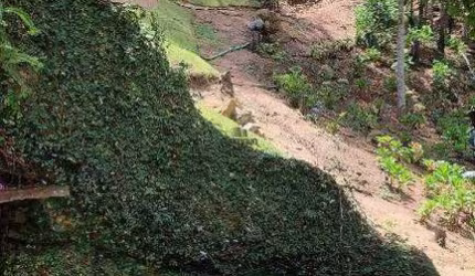 Área Rural à venda, Pedra Azul de Aracê - DOMINGOS MARTINS/ES