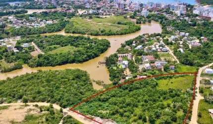 Pensando em novas maneiras de investir o seu dinheiro?