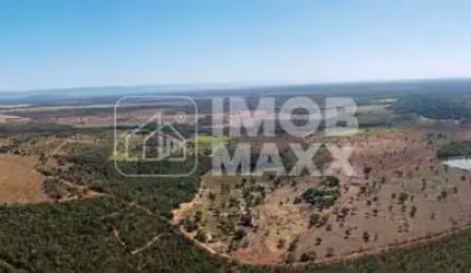 Fazenda a venda em Formosa: 281 hectares, água perene, dupla aptidão - escriturada e registrada.