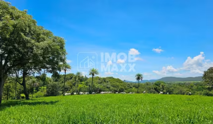 Faz. Formosa/GO 264 hectares 8 minas D`água c/financiamento