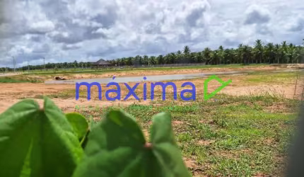 Lote Villaredo Barra