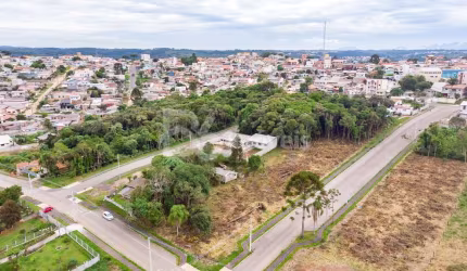 FLORESTA - Guebur - Guebur