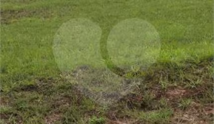 Terreno à venda em Casa De Pedra - RJ