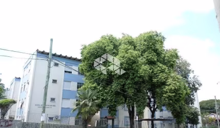 Apartamento Com 2 Dormitórios na Zona Sul
