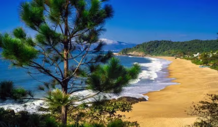 Terreno à venda em Balneário Camboriú, Praia do Estaleirinho, 500m²