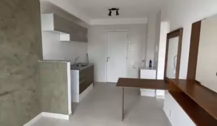 APARTAMENTO CONDOMINIO LION A VENDA 2 QUARTOS   CAMBUCI    SÃO PAULO