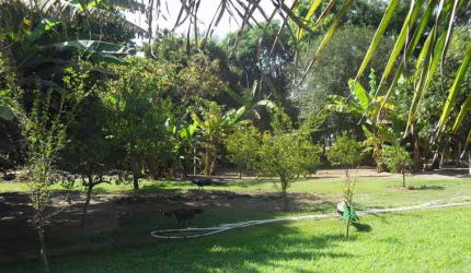 Venda - Chácara - Jardim Santa Alice - Santa Bárbara D'Oeste - SP