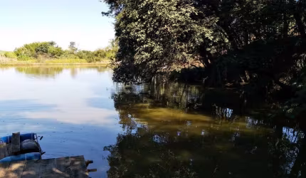 Venda - Sítio - Bairro do Porto - Limeira - SP
