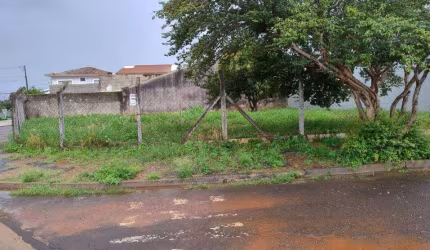 Venda - Terreno - Jardim Alfa - Santa Bárbara D'Oeste - SP