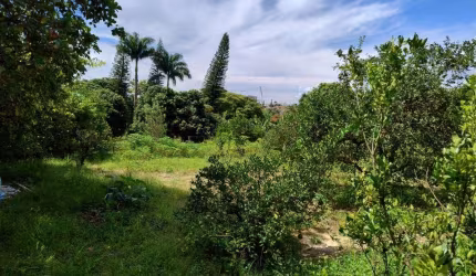 Venda - Chácara - Jardim Santa Alice - Santa Bárbara D'Oeste - SP