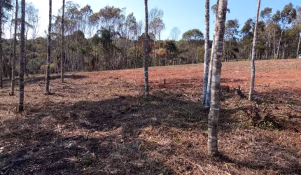 chácara 35.000,00m²