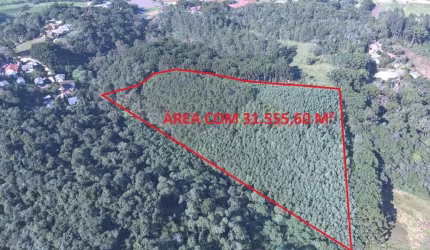 Área à venda, 0.00 m2 por R$250000.00  - Boichininga - Almirante Tamandare/PR