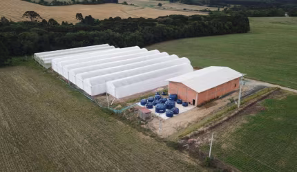 Chácara à venda, 30000.00 m2 por R$1590000.00  - Passa Dois - Lapa/PR