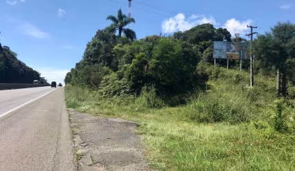 Área à venda, 121000.00 m2 por R$2200000.00  - Borda Do Campo - Sao Jose Dos Pinhais/PR