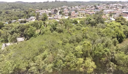 Terreno à venda, 12587.04 m2 por R$1200000.00  - Arruda - Colombo/PR