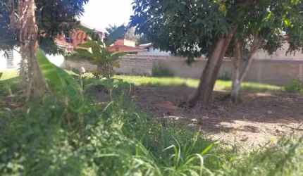ótimo lote no Parque Ortolândia
