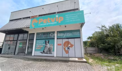 Sala para aluguel, Revoredo - Tubarão/SC