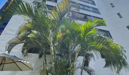 Oportunidade Em Boa viagem - 3 quartos