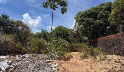 2 lotes juntos a apenas 2 ruas da Praia de Carapibus