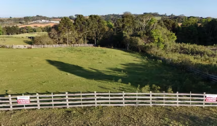 Terreno para Venda em Contenda, Localidade de Serrinha