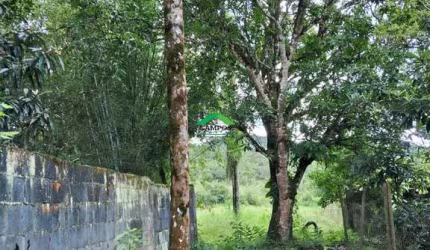 Terreno à venda em Monsenhor Horta, Mariana  por R$ 190.000