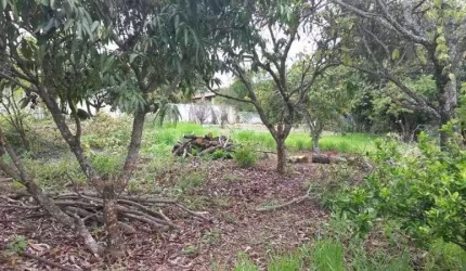 Terreno à venda no Gouveia, Santo Antônio Do Leite  por R$ 150.000