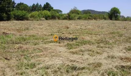 Terreno à venda Diácono João Luiz Pozzobon Santa Maria/RS