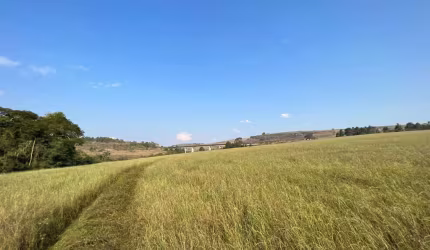 Fazenda à venda em Uvaranas