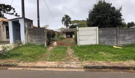 Terreno à venda Maria Otília