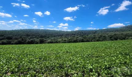 Área Rural Prudentópolis