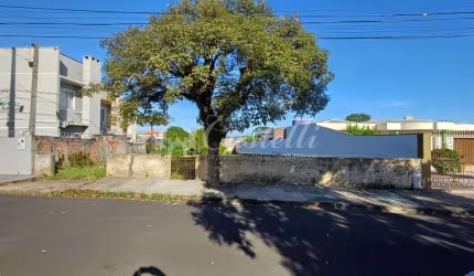Terreno à venda,600.00 m , Orfãs, PONTA GROSSA - PR