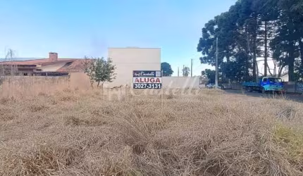 Excelente Terreno para locação, Uvaranas, PONTA GROSSA - PR