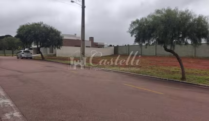 Terreno,300.00 m , Jardim Carvalho, PONTA GROSSA - PR