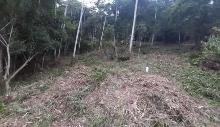 Terreno no condomÍnio haras rio do ouro , Ariribá, Balneário Camboriú - SC