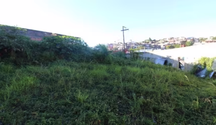 Terreno Residencial para locação, Jardim Maringá, Mauá - TE0078.