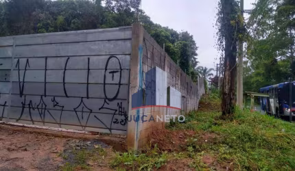 Terreno, 5300 m² - venda por R$ 1.600.000 ou aluguel por R$ 12.173/mês - Sítio Bela Vista - Mauá/SP