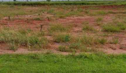 Terreno à venda, 250 m² por R$ 105.000 - Centro (Engenheiro Schmitt) - São José do Rio Preto/SP
