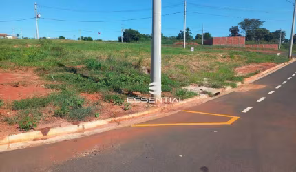Terreno à venda, 464 m² por R$ 200.000 - Conjunto Habitacional São José do Rio Preto - São José do Rio Preto/SP