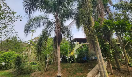 ESSA É A HORA !LINDO SITIO  COM REDUÇÃO DE VALOR