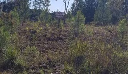 Excelente terreno no Loteamento Colline del Treviso.  Área: 13,64x29,96= 410,30m.  Confira!