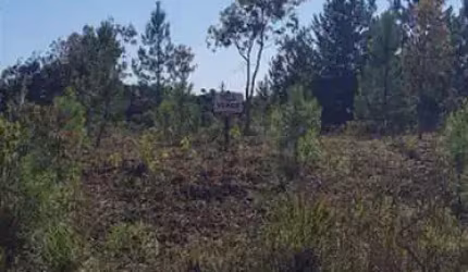 Terreno à venda no São Luiz, Caxias do Sul  por R$ 170.000